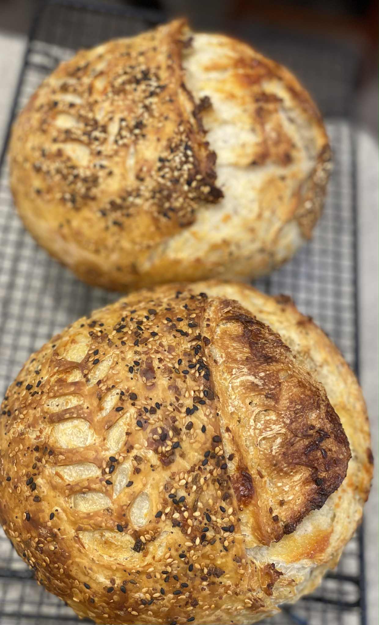 Everything Bagel Seasoning Sourdough Bread-Platt Creek Sourdough