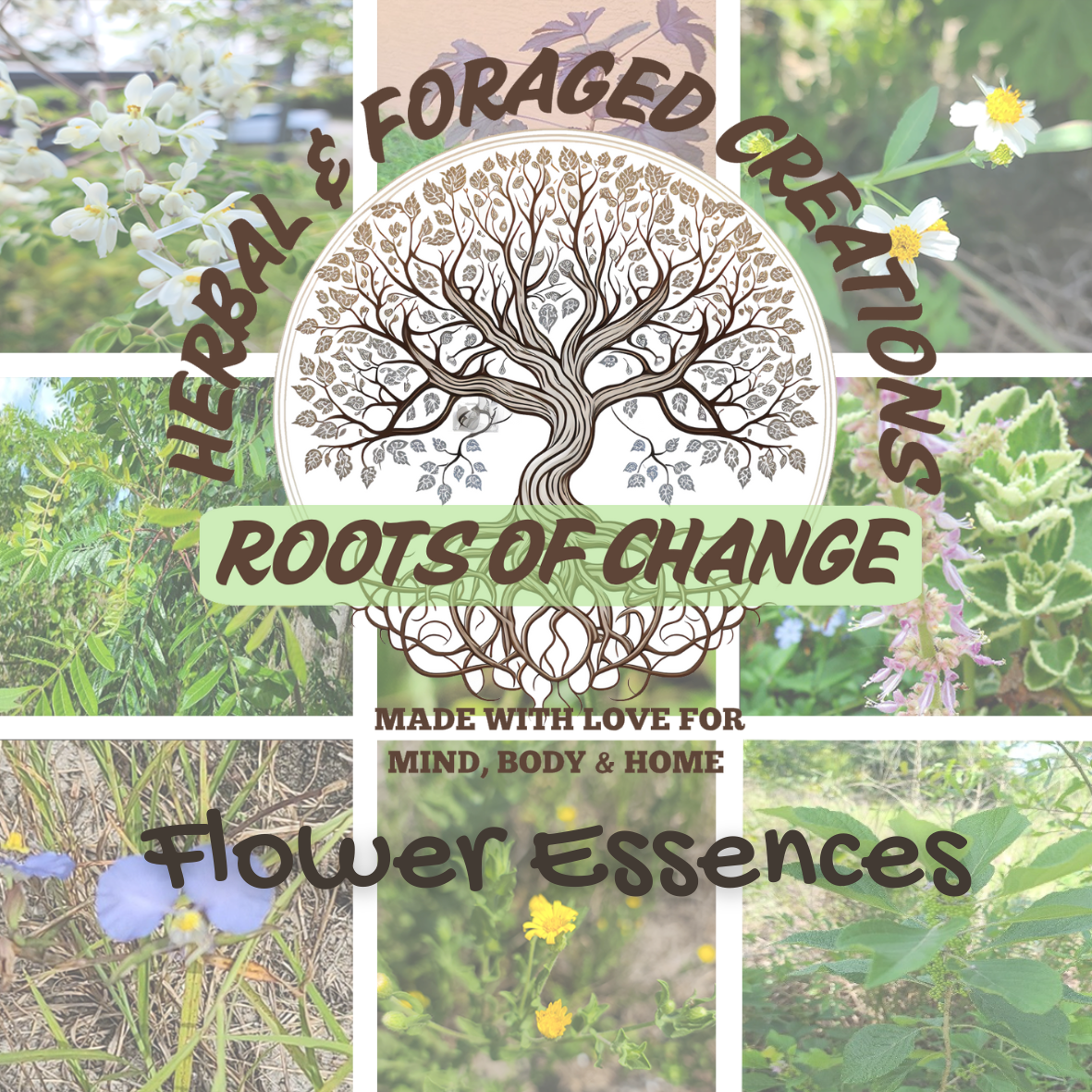 Flower Essence Remedies