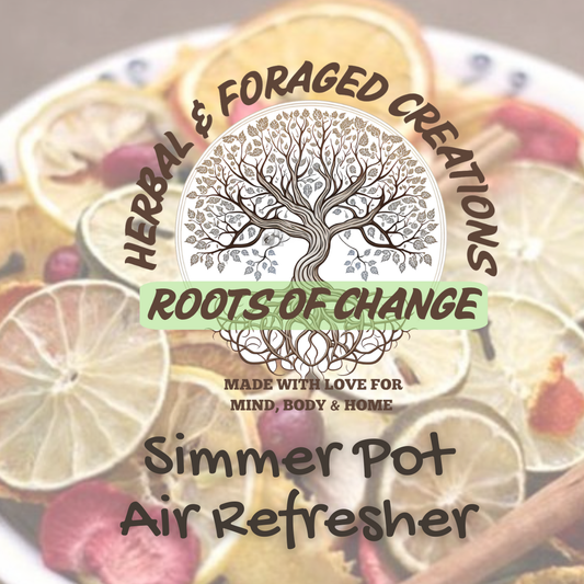 Simmer Pot - Natural Air Refreshers